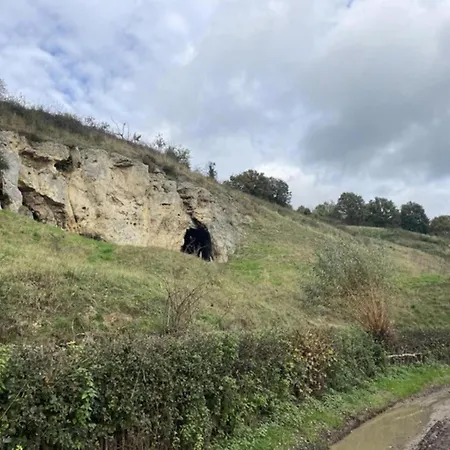 In Limburg With Outdoor Fireplace *