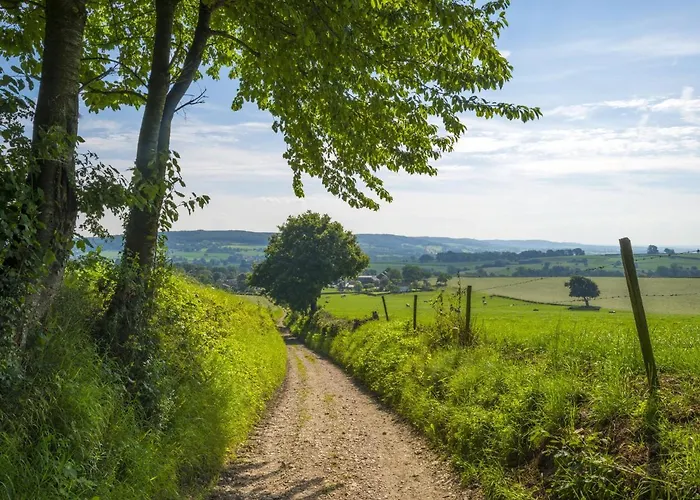 In Limburg With Outdoor Fireplace Holiday home *
