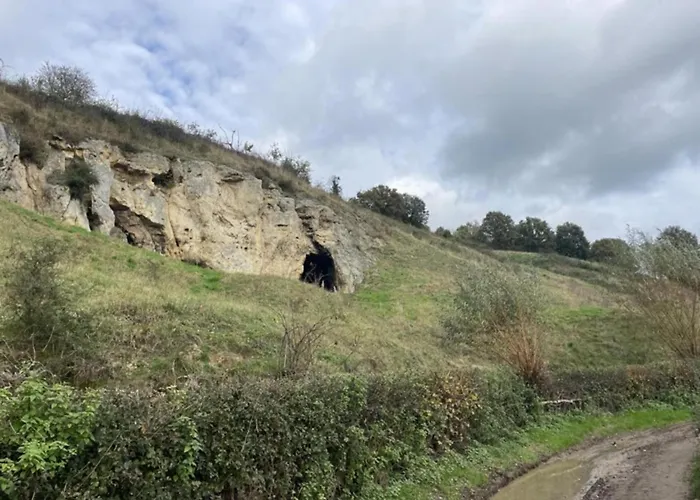 In Limburg With Outdoor Fireplace *